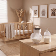 Hands Free Double Electric Breast Pump